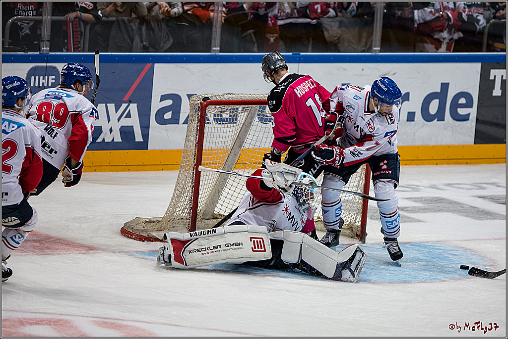 Koelner Haie - Adler Mannheim, 30.10.2016